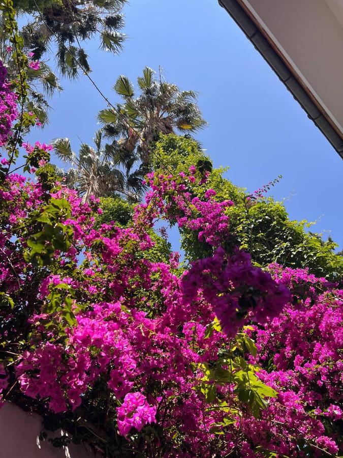 Palma Rosa Hotel Çamyuva Kültér fotó